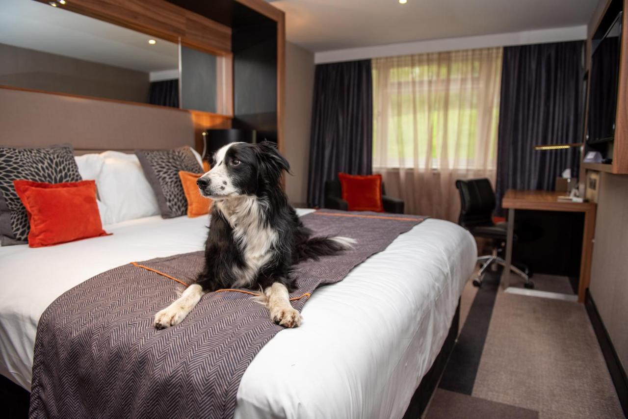 מלון ביקונספילד Crowne Plaza Gerrards Cross By Ihg מראה חיצוני תמונה
