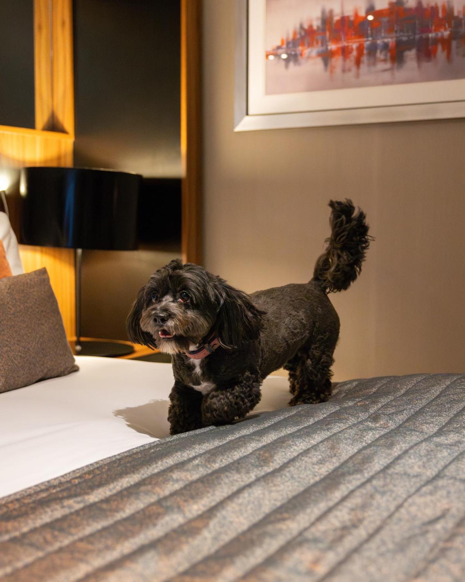 מלון ביקונספילד Crowne Plaza Gerrards Cross By Ihg מראה חיצוני תמונה